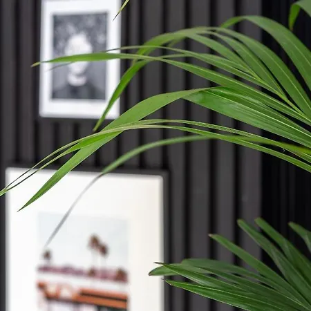 Rooftop In By Costarentals - Ref 59 Fuengirola