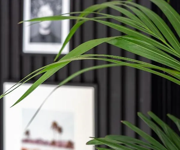 Rooftop In By Costarentals - Ref 59 Fuengirola